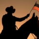 AMERICAN MOVIE & MUSIC TRAILS
